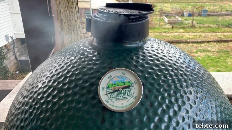 Gochujang-Glazed Baby Back Ribs on the Big Green Egg 6 img 51 5