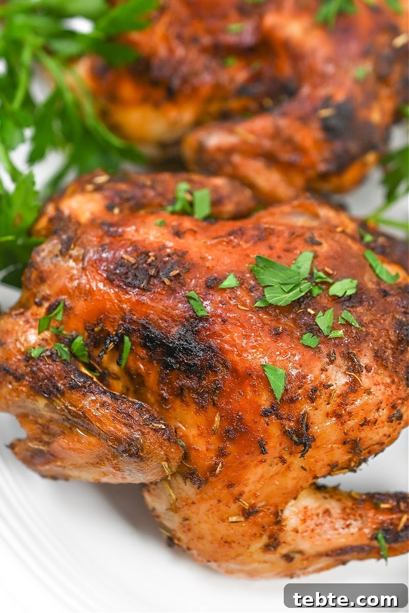 Crispy Low-Carb Air Fryer Cornish Hens Recipe 2 Keto Air Fryer Cornish Hens