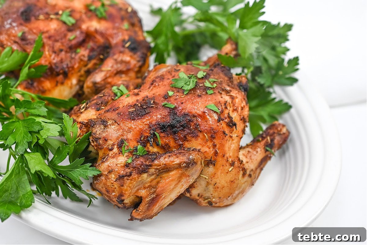 Crispy Low-Carb Air Fryer Cornish Hens Recipe 11 Keto Air Fryer Cornish Hens