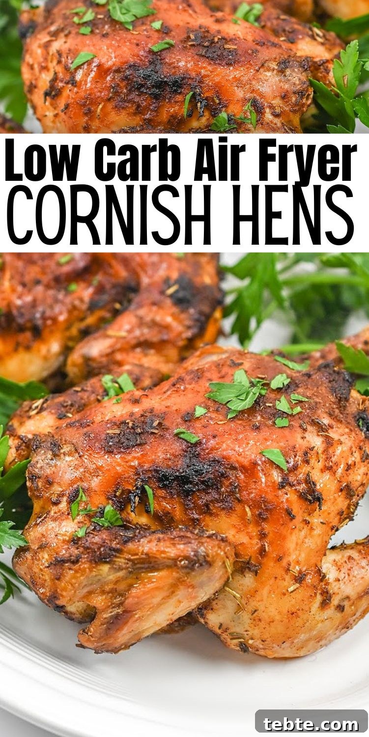 Crispy Low-Carb Air Fryer Cornish Hens Recipe 12 Low-Carb Air Fryer Cornish Hens