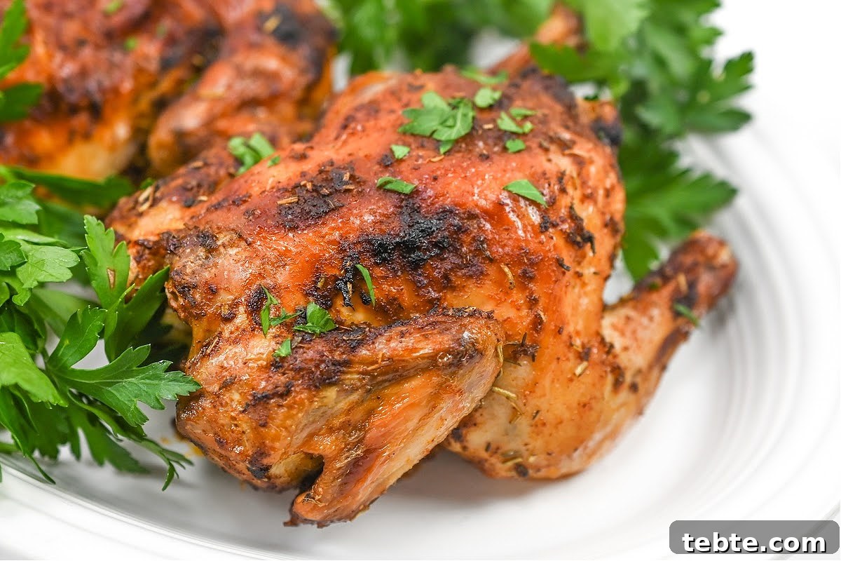 Crispy Low-Carb Air Fryer Cornish Hens Recipe 4 Keto Air Fryer Cornish Hens