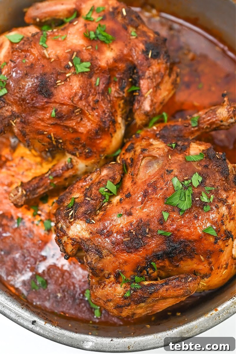 Crispy Low-Carb Air Fryer Cornish Hens Recipe 5 Keto Air Fryer Cornish Hens