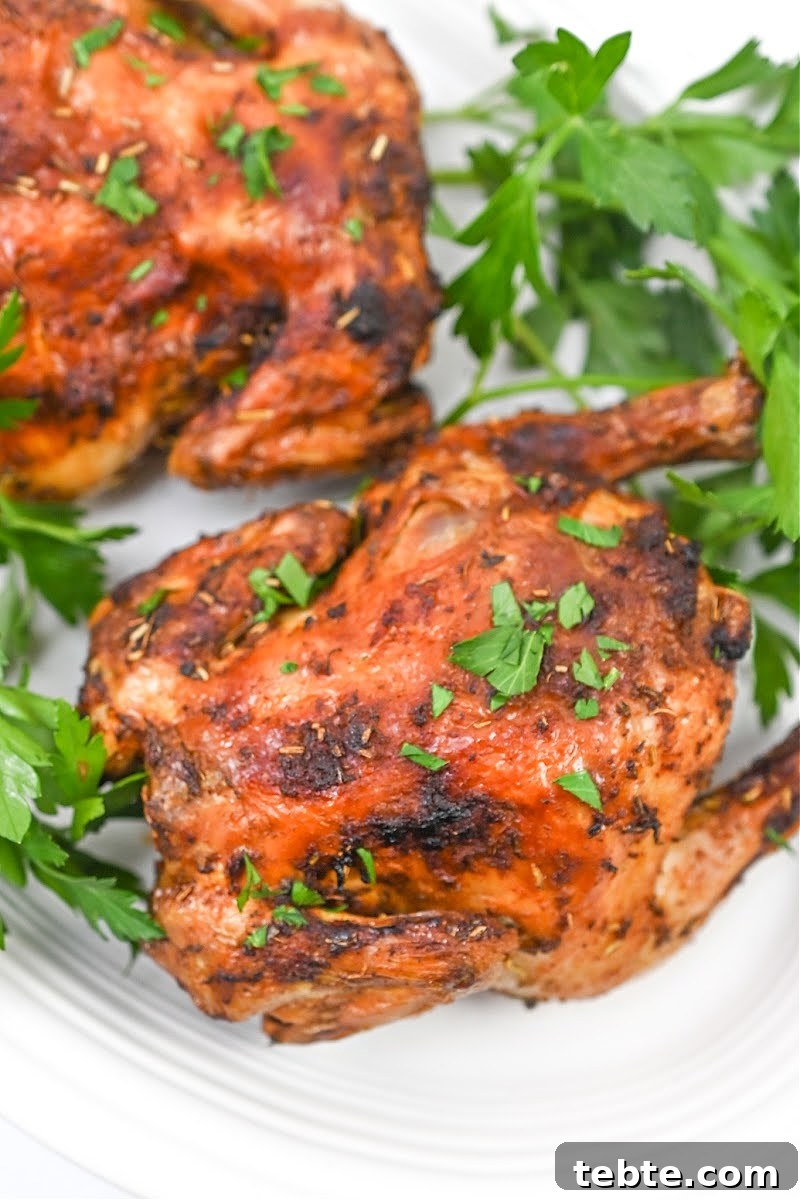 Crispy Low-Carb Air Fryer Cornish Hens Recipe 6 Keto Air Fryer Cornish Hens