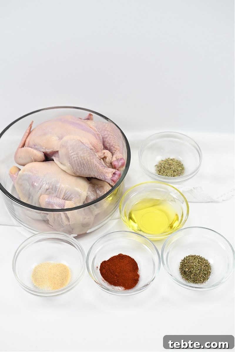 Crispy Low-Carb Air Fryer Cornish Hens Recipe 8 Keto Air Fryer Cornish Hens Ingredients