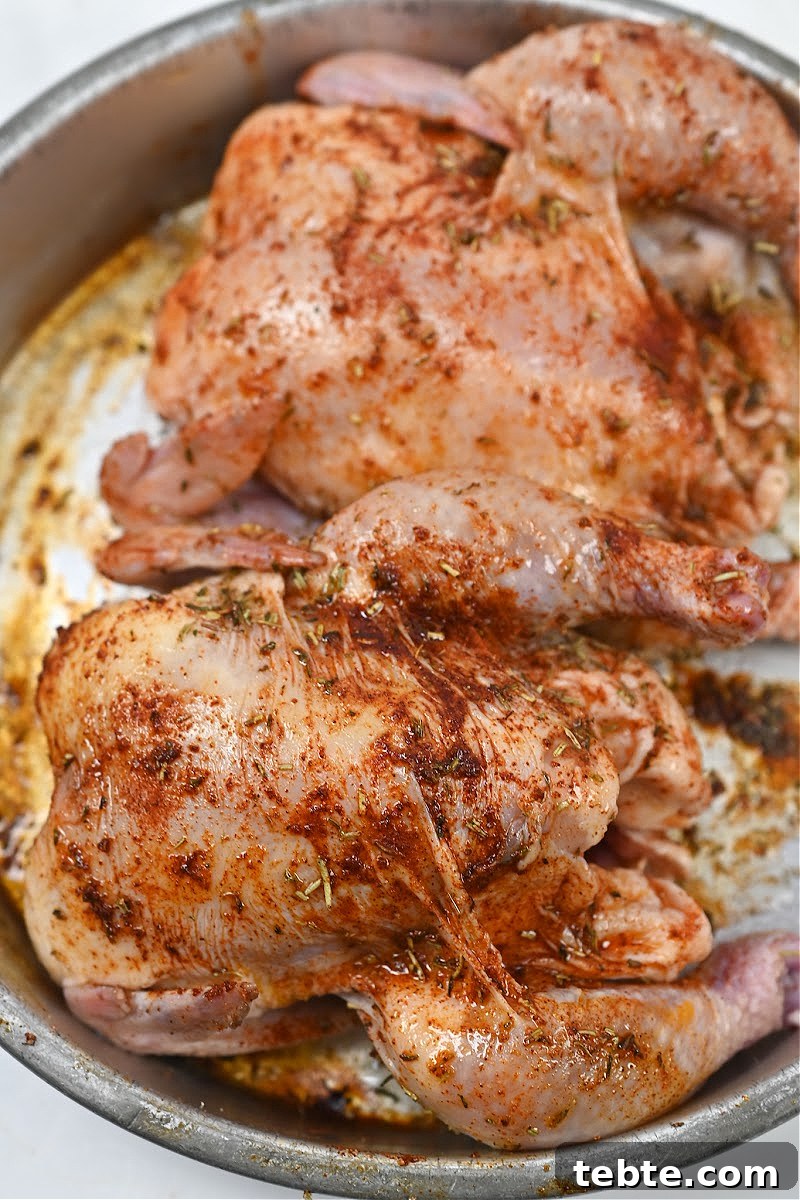 Crispy Low-Carb Air Fryer Cornish Hens Recipe 9 Keto Air Fryer Cornish Hens