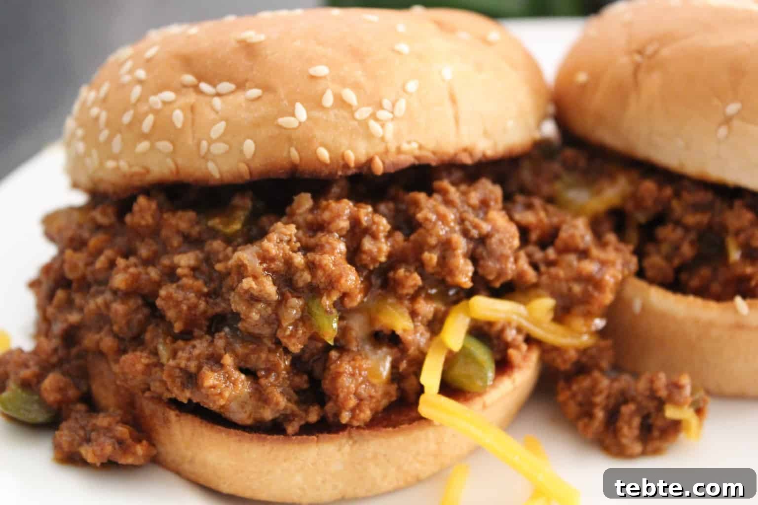 Safe Thawing Guide for Beef, Pork, Poultry & Seafood 2 Sloppy Joe with shredded cheese and a sesame bun on white plate