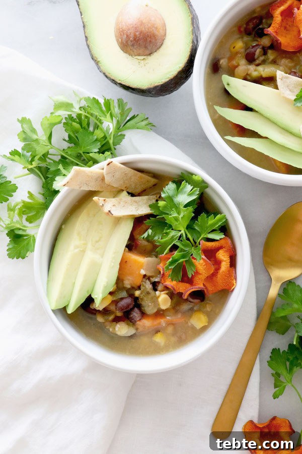 Creamy Sweet Potato Tortilla Soup with Crispy Tortilla Strips 2 Sweet Potato Tortilla Soup | @sweetpotatosoul