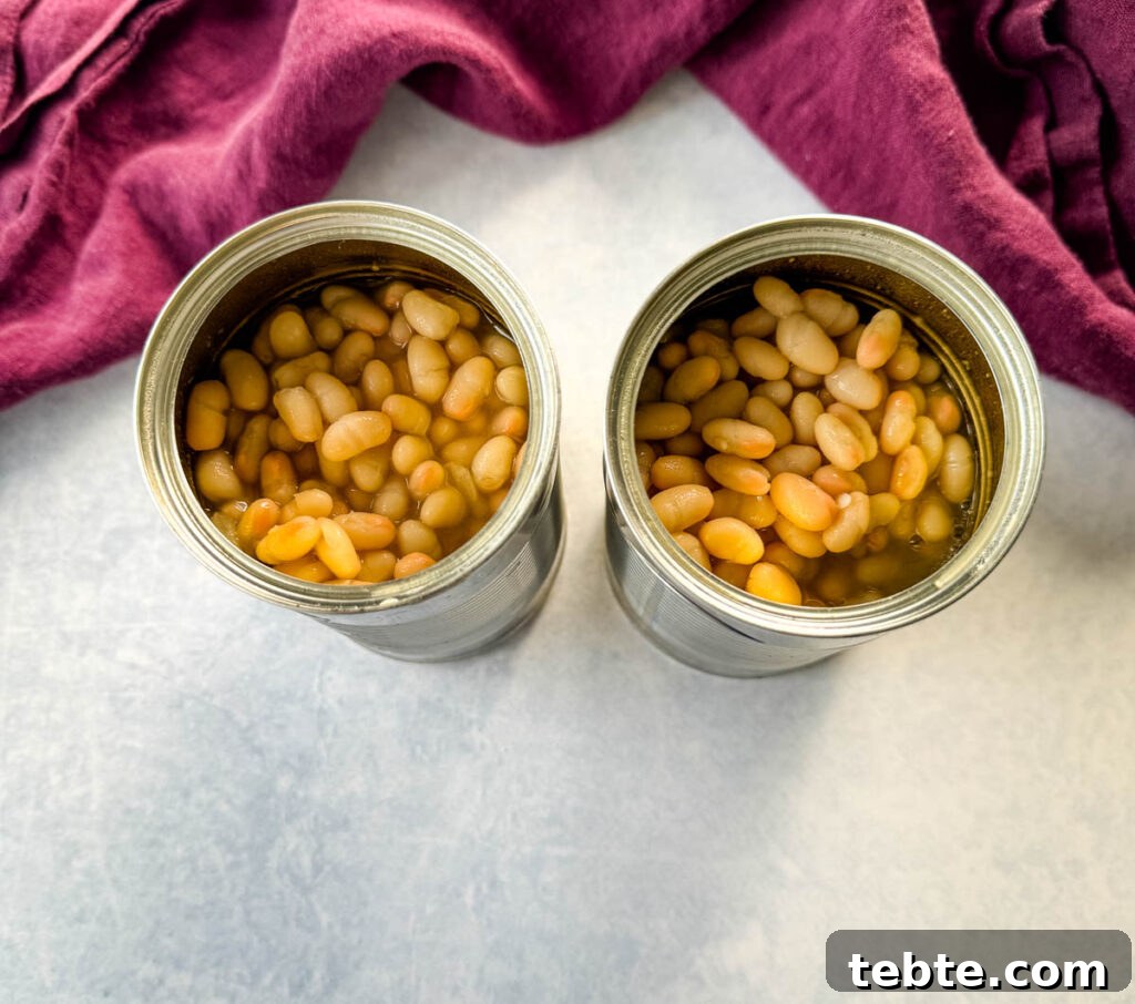 Classic Homemade Pork and Beans Recipe for Comforting Meals 3 canned kidney beans