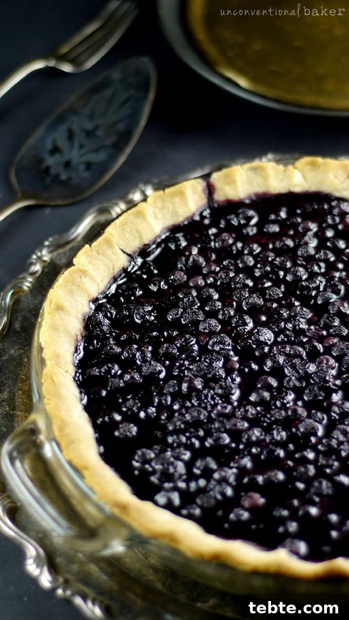 Classic Blueberry Pie Recipe with Flaky Homemade Crust 3 Cardamom Blueberry Pie {Gluten-Free, Vegan, Refined Sugar-Free}