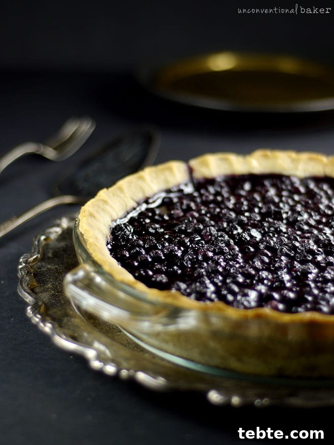 Classic Blueberry Pie Recipe with Flaky Homemade Crust 4 Cardamom Blueberry Pie {Gluten-Free, Vegan, Refined Sugar-Free}