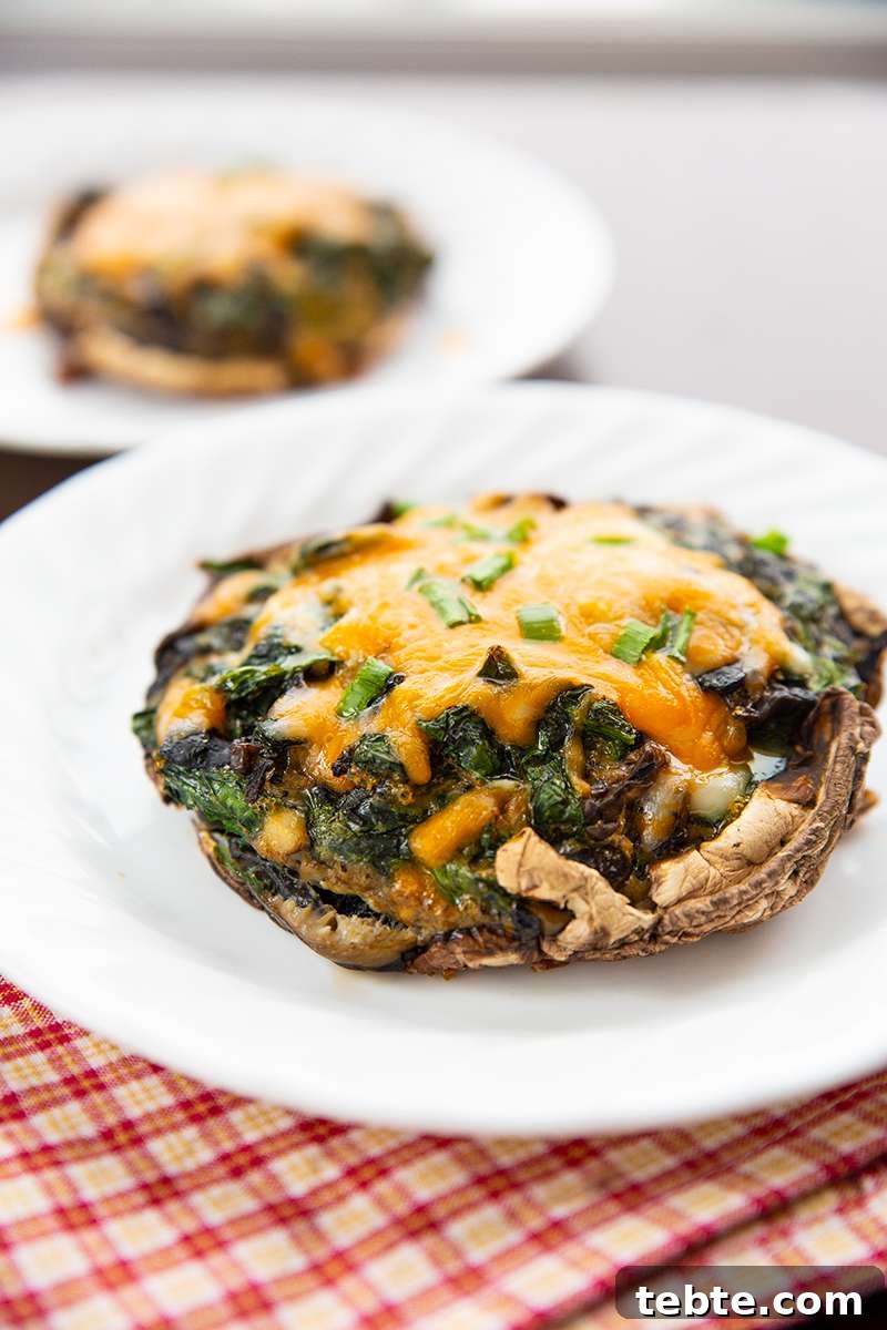 Go ahead, tell me you aren't drooling over these stuffed portobello mushrooms Go ahead, tell me you aren't drooling over these stuffed portobello mushrooms