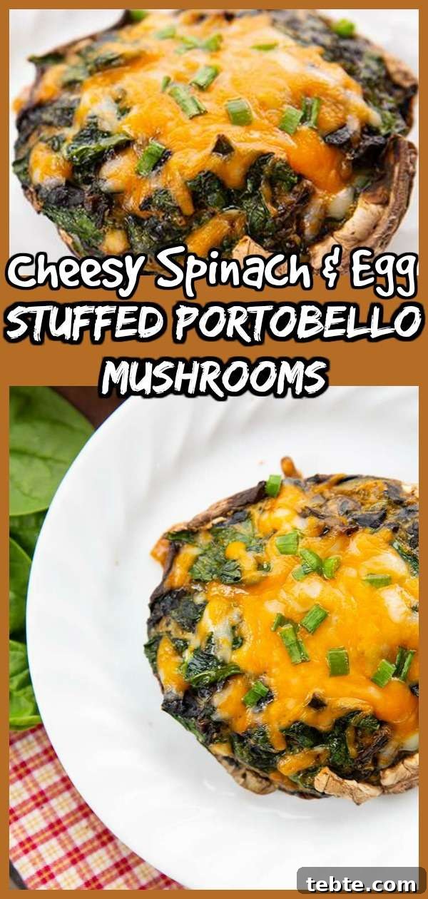 Cheesy Egg and Spinach Stuffed Portobello Mushrooms Cheesy Egg and Spinach Stuffed Portobello Mushrooms