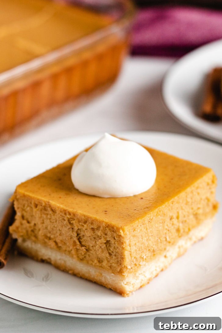 Pumpkin cheesecake bar on a white dish.