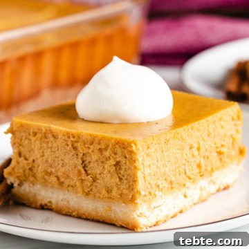Square piece of pumpkin cheesecake on a plate.