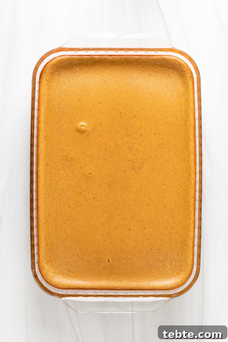 Top down view of baked cheesecake bars in a pan.