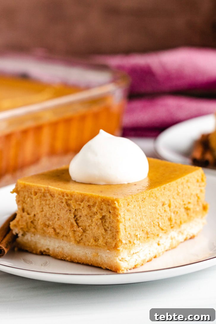 Pumpkin cheesecake bar with whipped cream.