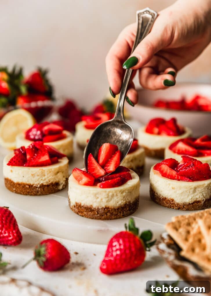 Mini Strawberry Cheesecakes Recipe: Perfect Bite-Sized Treats 17 A hand spooning strawberry topping on mini cheesecakes next to a pink bowl, strawberries, and a brown bowl of graham crackers on a pink background.
