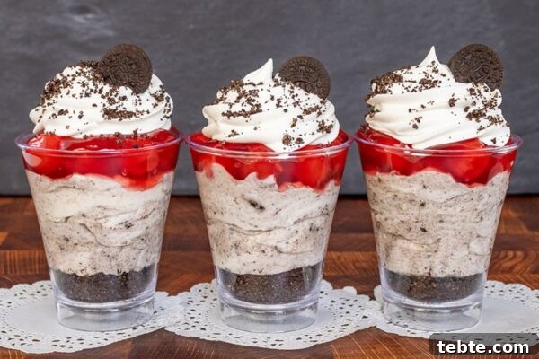 9 Refreshing No-Bake Summer Desserts You Can Make Fast 11 img 6003 10