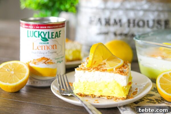 9 Refreshing No-Bake Summer Desserts You Can Make Fast 5 img 6003 4
