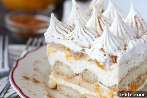 9 Refreshing No-Bake Summer Desserts You Can Make Fast 6 img 6003 5