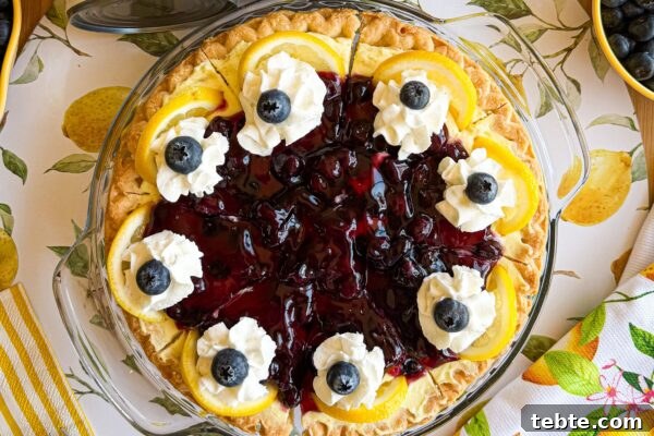 9 Refreshing No-Bake Summer Desserts You Can Make Fast 7 img 6003 6