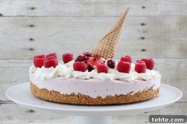 9 Refreshing No-Bake Summer Desserts You Can Make Fast 8 img 6003 7