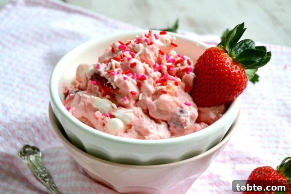 9 Refreshing No-Bake Summer Desserts You Can Make Fast 9 img 6003 8
