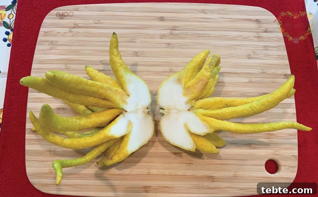 Candied Buddha’s Hand Citron: Recipe for Sweet Preserved Citrus 2 img 6041 2
