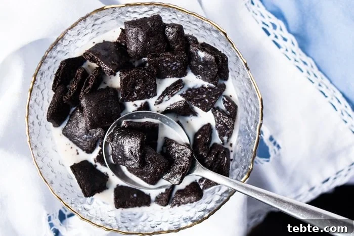 Extra-Crunch Cocoa Puffs Cereal — Gluten-Free Keto Recipe 3 Grain Free & Keto Cocoa Puffs Cereal 🥄 #ketocereal #lowcarbcereal #ketobreakfast