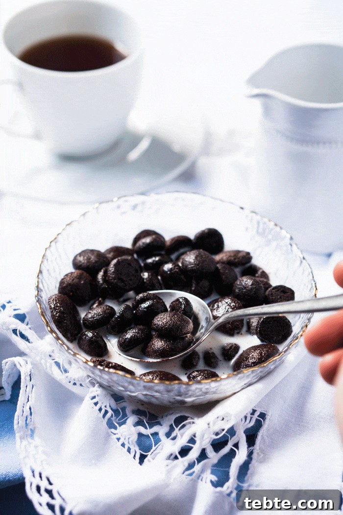 Extra-Crunch Cocoa Puffs Cereal — Gluten-Free Keto Recipe 7 Grain Free & Keto Cocoa Puffs Cereal 🥄 #ketocereal #lowcarbcereal #ketobreakfast