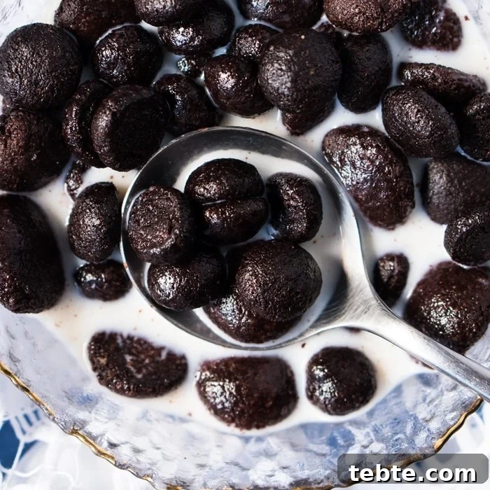 Extra-Crunch Cocoa Puffs Cereal — Gluten-Free Keto Recipe 8 Grain Free & Keto Cocoa Puffs Cereal 🥄 #ketocereal #lowcarbcereal #ketobreakfast
