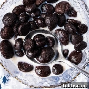 Extra-Crunch Cocoa Puffs Cereal — Gluten-Free Keto Recipe 9 Grain Free & Keto Cocoa Puffs Cereal 🥄 #ketocereal #lowcarbcereal #ketobreakfast