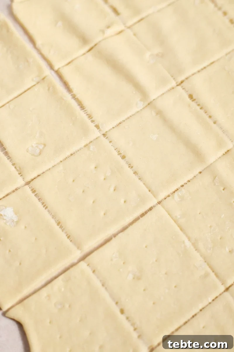 Crispy Sourdough Discard Crackers: Crunchy Homemade Recipe 12 Rolled and sliced dough ready to bake.
