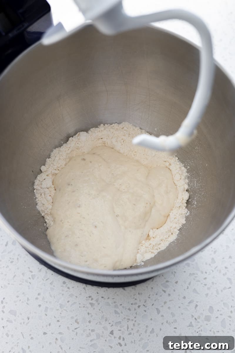 Crispy Sourdough Discard Crackers: Crunchy Homemade Recipe 4 Sourdough discard added to the bowl of the stand mixer.