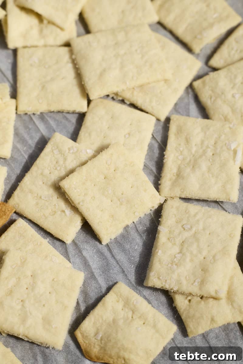 Crispy Sourdough Discard Crackers: Crunchy Homemade Recipe 10 Baked crackers on white parchment paper.