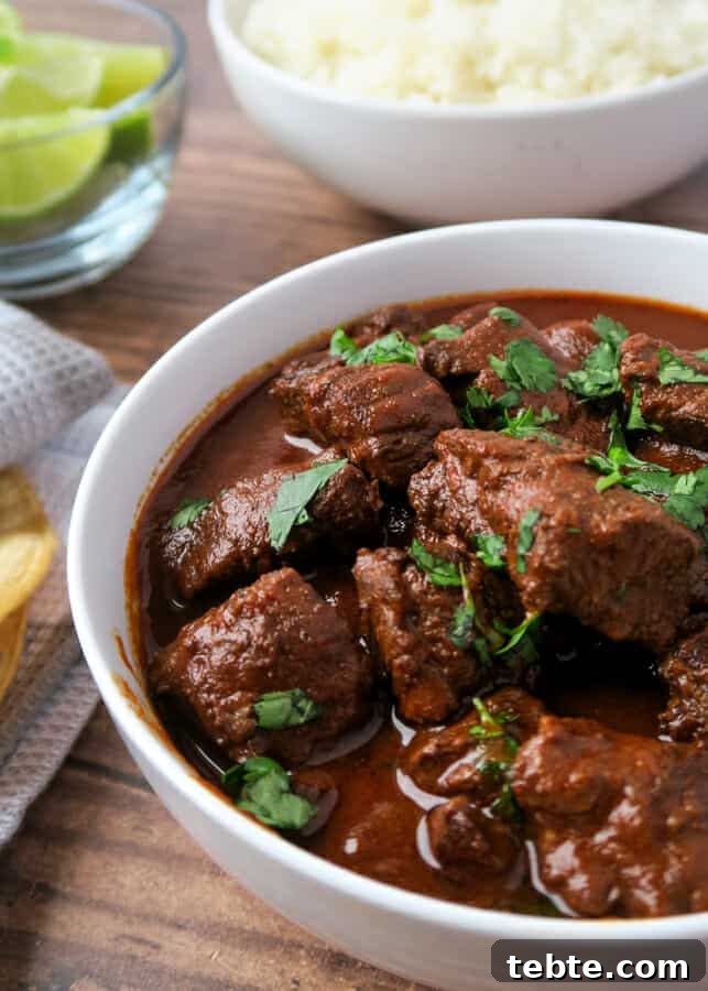 Chile Colorado Beef Stew in Rich Red Chile Sauce 2 Chile Colorado {Beef Stewed in a Red Chile Sauce} aka Carne Con Chile Rojo
