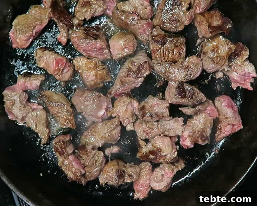 Chile Colorado Beef Stew in Rich Red Chile Sauce 9 img 633 11