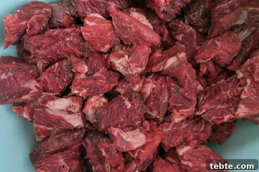 Chile Colorado Beef Stew in Rich Red Chile Sauce 11 cubed chuck steak