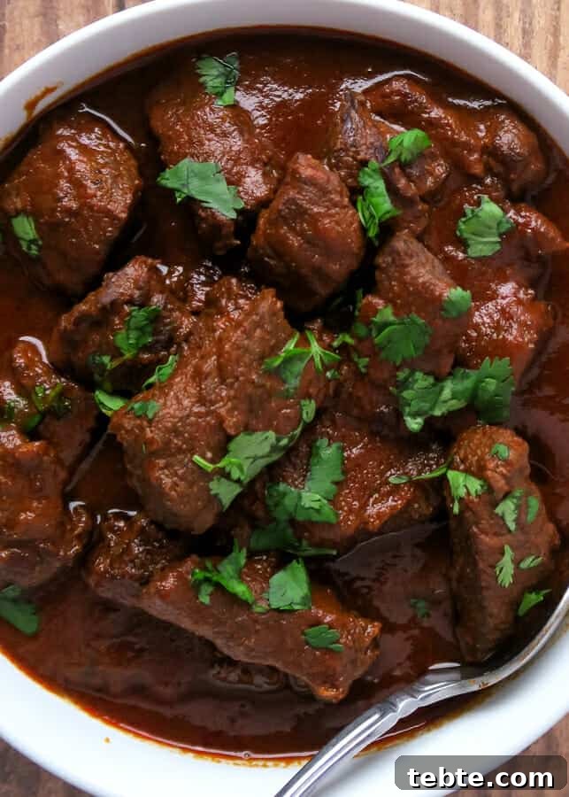 Chile Colorado Beef Stew in Rich Red Chile Sauce 12 Chile Colorado {Beef Stewed in a Red Chile Sauce} aka Carne Con Chile Rojo
