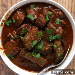 Chile Colorado Beef Stew in Rich Red Chile Sauce 15 Chile Colorado {Beef Stewed in a Red Chile Sauce} aka Carne Con Chile Rojo