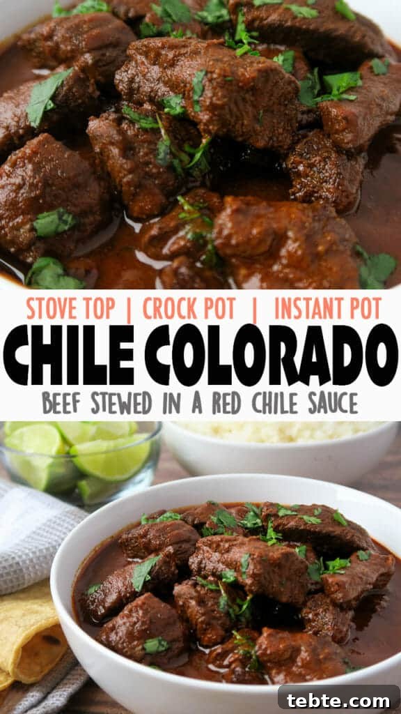 Chile Colorado Beef Stew in Rich Red Chile Sauce 17 Chile Colorado {Beef Stewed in a Red Chile Sauce} aka Carne Con Chile Rojo