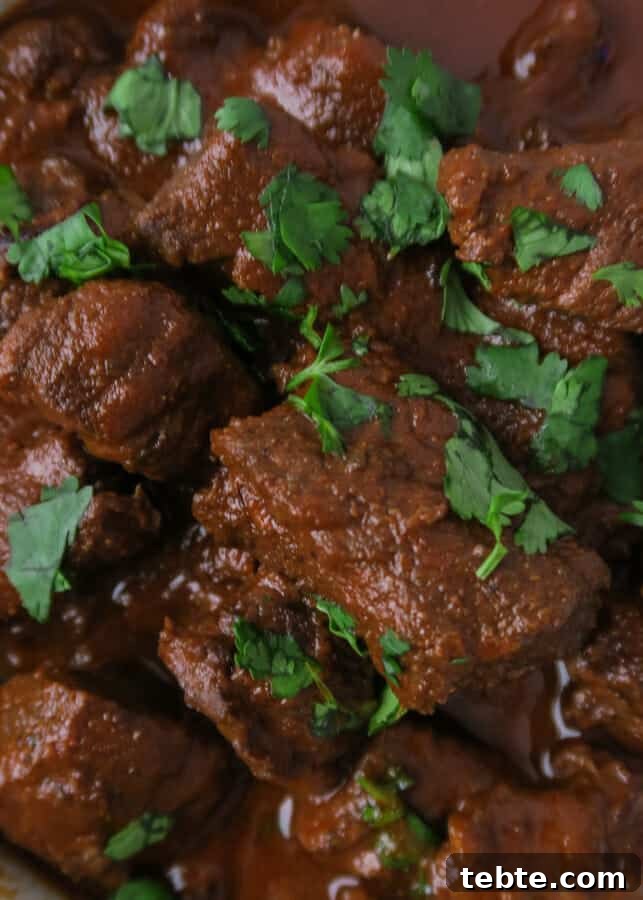 Chile Colorado Beef Stew in Rich Red Chile Sauce 3 Chile Colorado {Beef Stewed in a Red Chile Sauce} aka Carne Con Chile Rojo