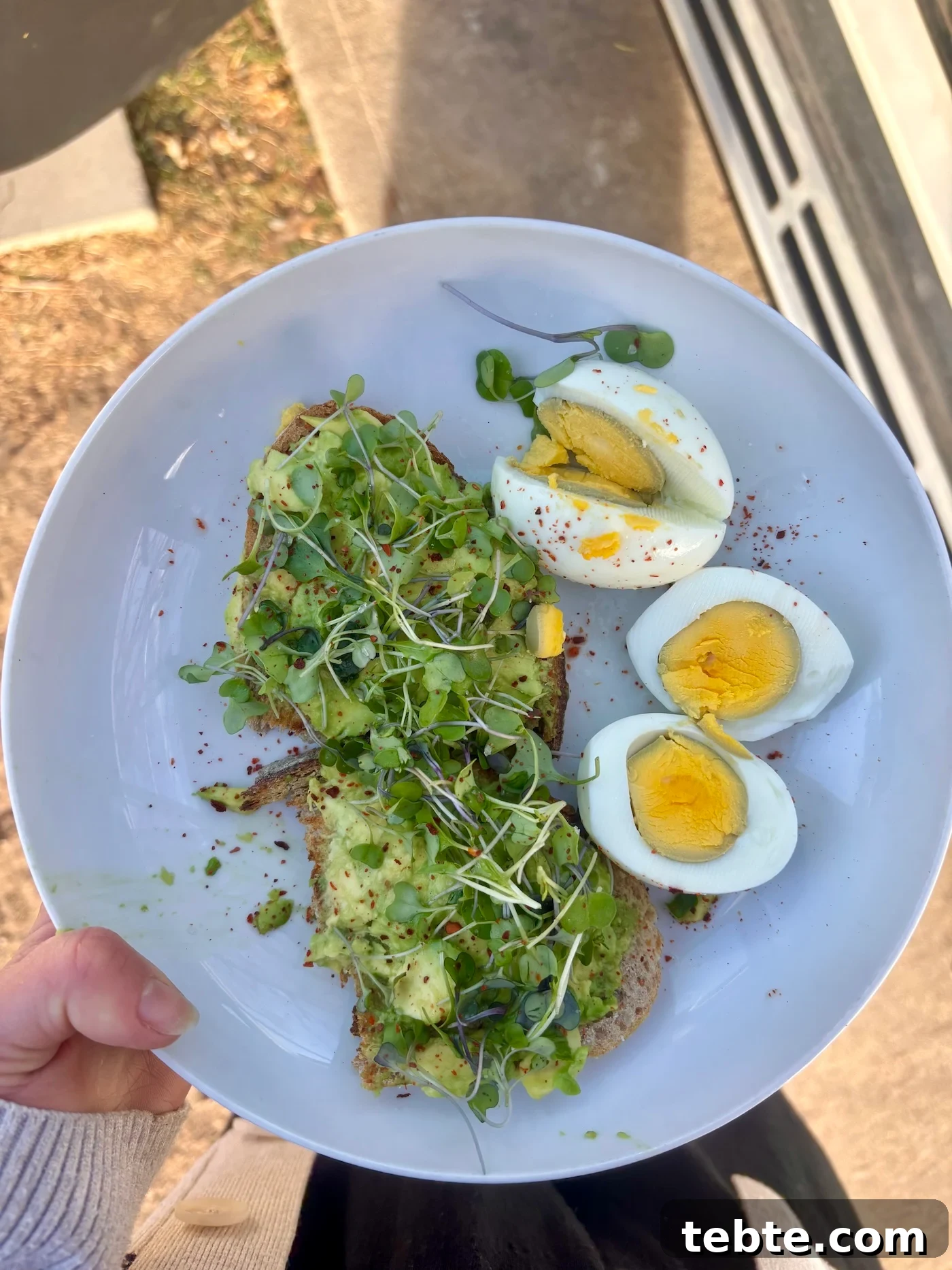 March 2026 Meal Highlights: Seasonal Recipes & Cooking Inspiration 12 eggs
