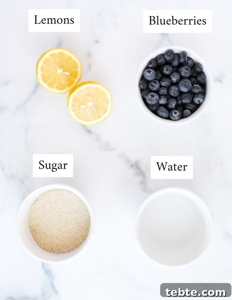 Labeled ingredients including: lemons, blueberries, sugar, and water.