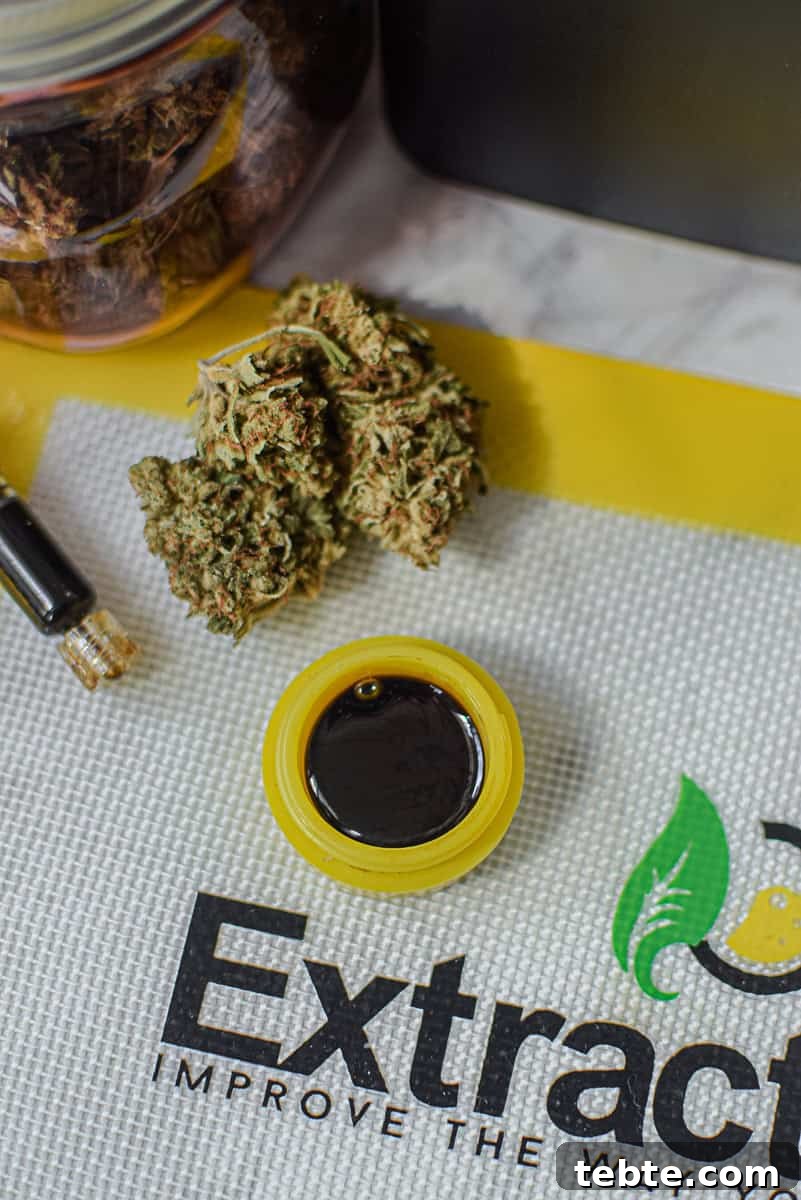 Make Potent, Great-Tasting Edibles with the Source Turbo 5 A picture of a Source Turbo machine.