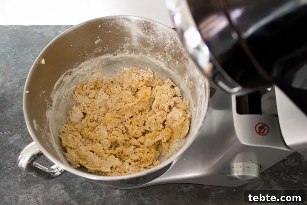 Custard and White Chocolate Cookies Recipe for Crisp, Creamy Treats 8 Custard biscuit dough in an electric stand mixer.