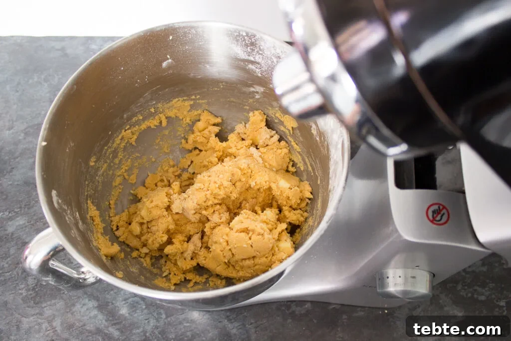 Custard and White Chocolate Cookies Recipe for Crisp, Creamy Treats 9 The finished custard and white chocolate biscuit dough in an electric stand mixer.