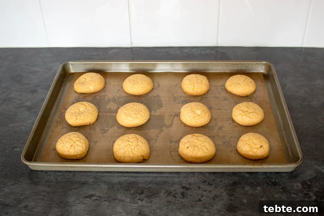 Custard and White Chocolate Cookies Recipe for Crisp, Creamy Treats 20 Baked custard and white chocolate biscuits on a lined baking tray.