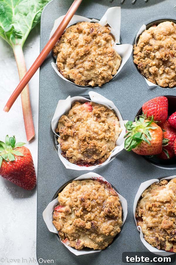 Strawberry Rhubarb Muffins with Double Streusel Topping 2 strawberry rhubarb muffins