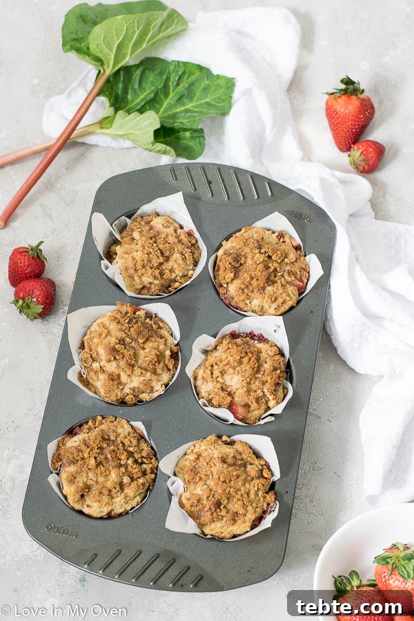 Strawberry Rhubarb Muffins with Double Streusel Topping 6 strawberry rhubarb muffins